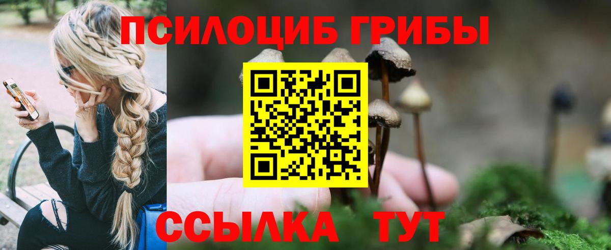 где продают   Вход с VPN  Лиски  Галлюциногенные грибы Magic Shrooms 